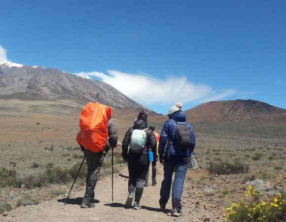 7 Days Kilimanjaro Climb In Umbwe Route
