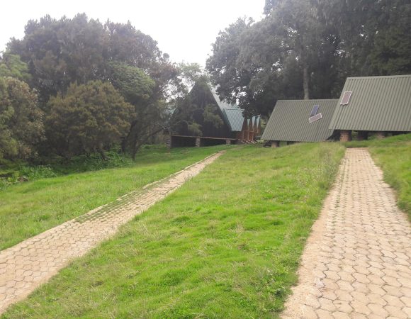 7 Days Kilimanjaro Climbing Marangu Route